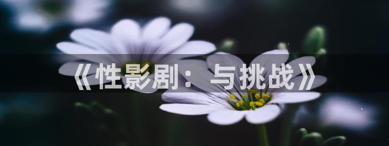 97影院在线午夜我不卡d丨