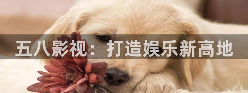 97影视在线观看免费最新电视剧