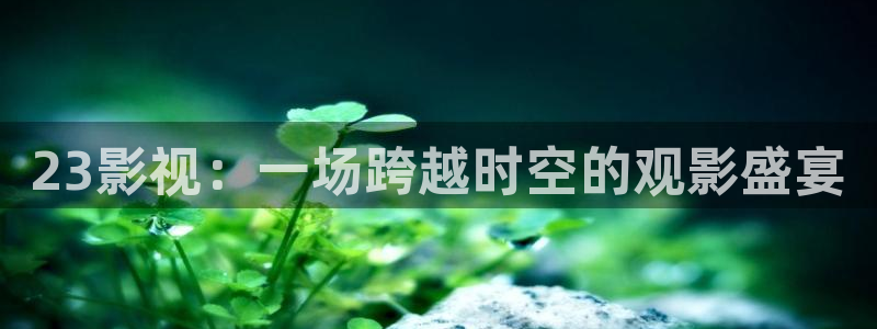 971影院在线观看