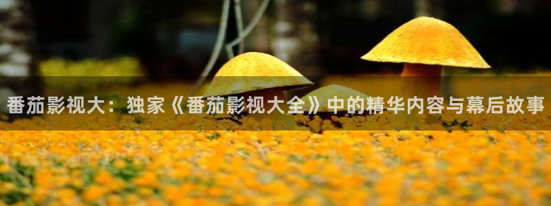 97影院手机版在线观看